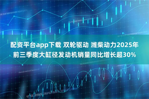 配资平台app下载 双轮驱动 潍柴动力2025年前三季度大缸径发动机销量同比增长超30%
