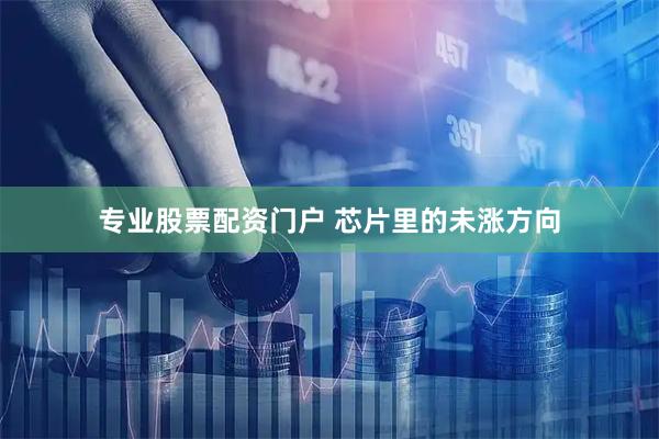 专业股票配资门户 芯片里的未涨方向