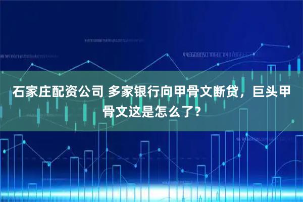 石家庄配资公司 多家银行向甲骨文断贷，巨头甲骨文这是怎么了？