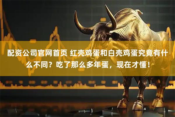 配资公司官网首页 红壳鸡蛋和白壳鸡蛋究竟有什么不同?吃了那么多年蛋,现在才懂!