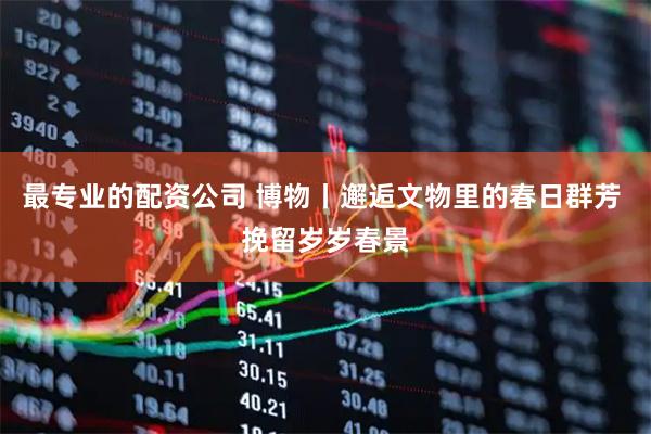 最专业的配资公司 博物丨邂逅文物里的春日群芳 挽留岁岁春景