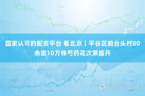 国家认可的配资平台 看北京｜平谷区前台头村80余亩10万株芍药花次第盛开