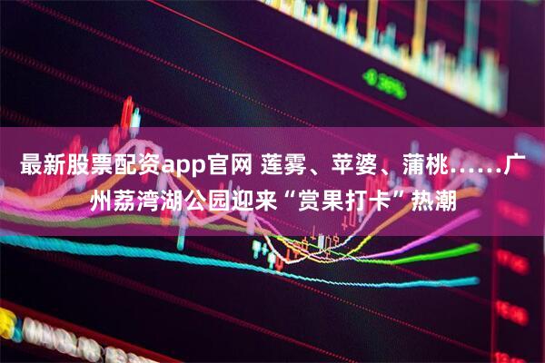 最新股票配资app官网 莲雾、苹婆、蒲桃……广州荔湾湖公园迎来“赏果打卡”热潮