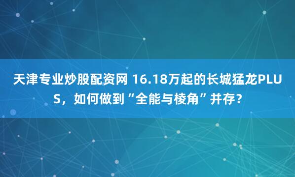 天津专业炒股配资网 16.18万起的长城猛龙PLUS，如何做到“全能与棱角”并存？